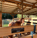 Custom Stall Signs 10 x 3 Inches